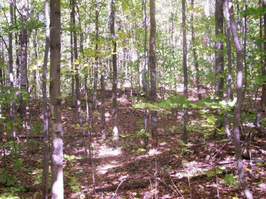 OFF WALKER ROAD # 20 ACRES, AFTON, MI 49705, photo 3 of 7