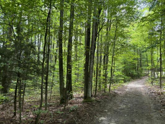 CAMERON BRIDGE ROAD 5.4 ACRES, FREDERIC, MI 49733 - Image 1