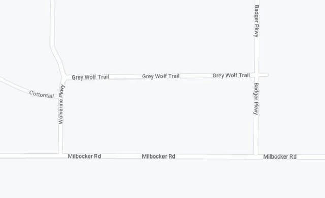 2275 GREY WOLF TRL, GAYLORD, MI 49735, photo 2 of 4