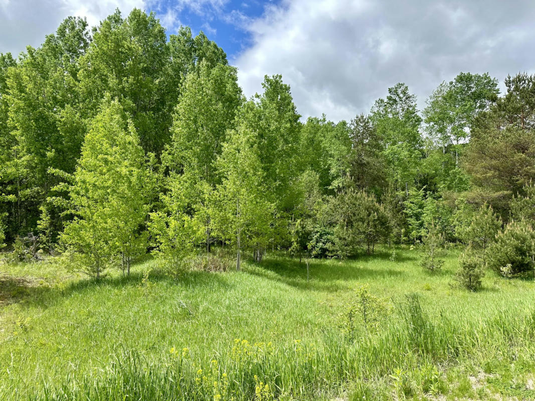 LOT 63&64 GOLFVIEW, GAYLORD, MI 49735, photo 1 of 5