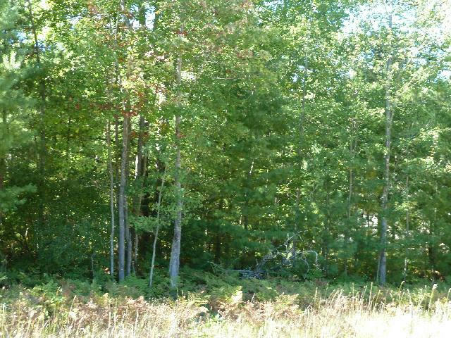 2208 SOMMERSET DR LOT 11, ALPENA, MI 49707, photo 1 of 7