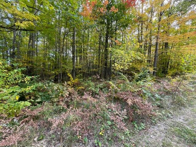 LOT 10 FAIRWAY DRIVE, ROSCOMMON, MI 48653, photo 1 of 7