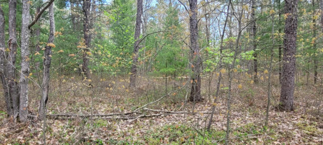 SIOUX TRAIL LOT 97, ROGERS CITY, MI 49779, photo 4 of 5
