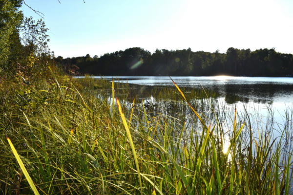 SWAN POINTE, CHEBOYGAN, MI 49721, photo 5 of 30