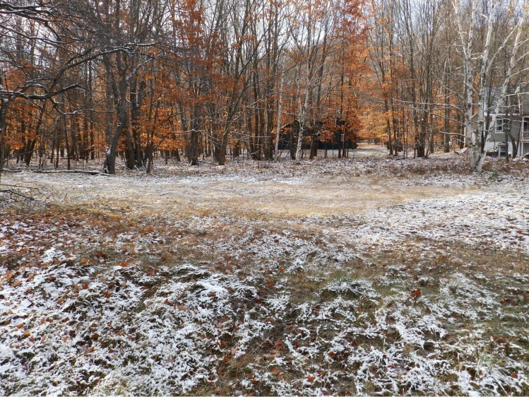 LOT #172 FOOTHILLS TRAIL, GAYLORD, MI 49735, photo 1 of 6