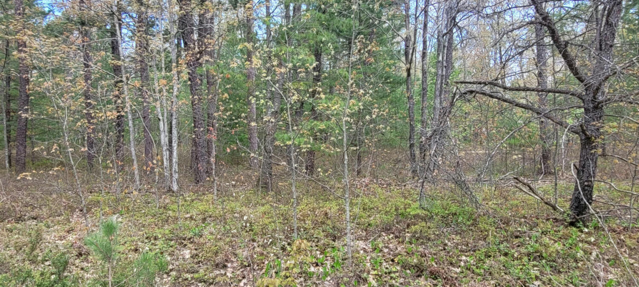 SIOUX TRAIL LOT 97, ROGERS CITY, MI 49779, photo 1 of 5