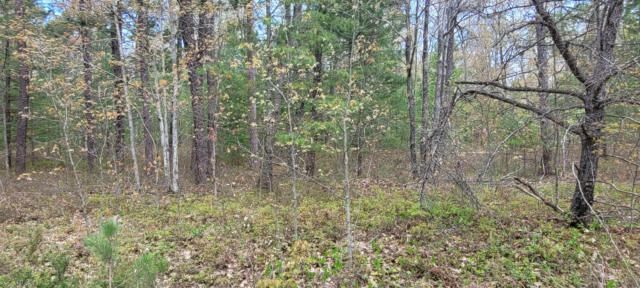 SIOUX TRAIL LOT 97, ROGERS CITY, MI 49779 - Image 1