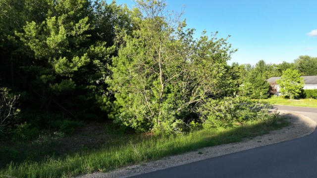 LOT 116 ALTORF STRASSE, GAYLORD, MI 49735, photo 3 of 7