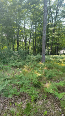 XXX SPRINGWOOD DRIVE # LOT 91, PRUDENVILLE, MI 48651 - Image 1