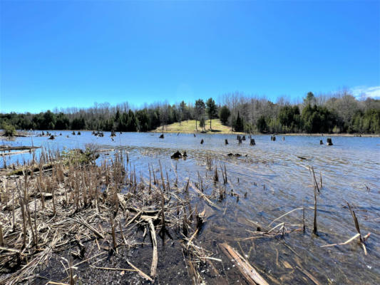 OFF RIVER EDGE DRIVE # PARCEL #11, CHEBOYGAN, MI 49721, photo 2 of 14