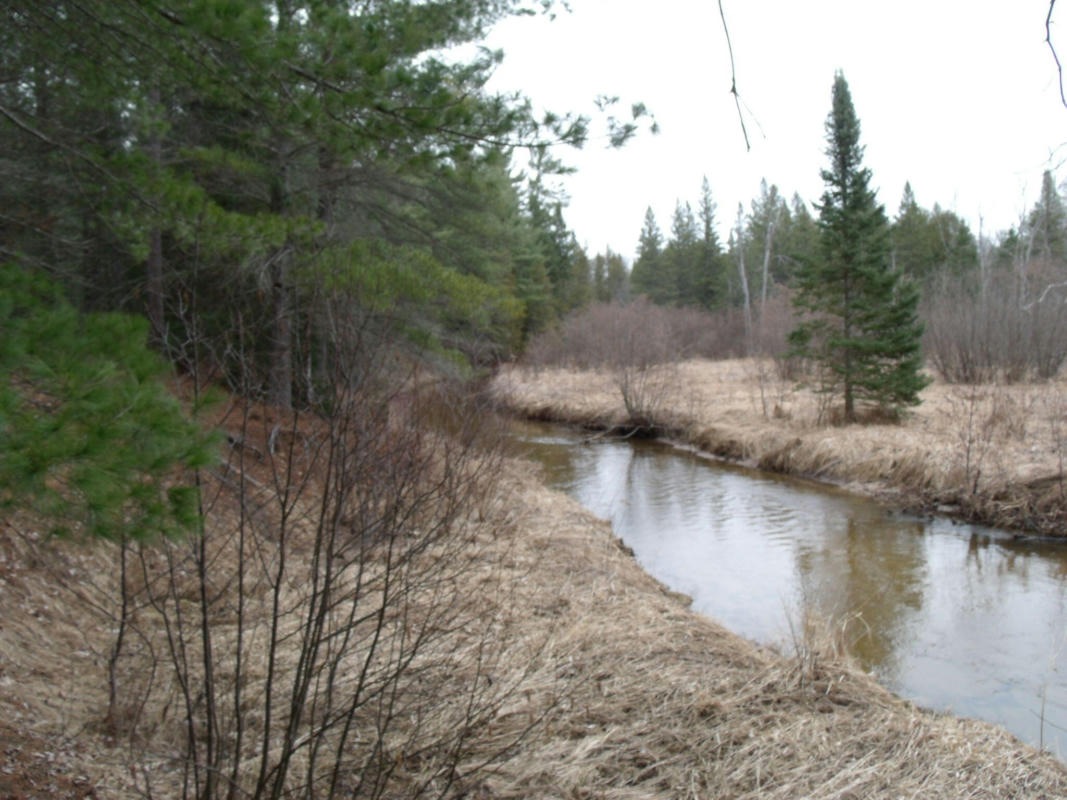 SPIKEHORN TRAIL PARCEL 18, INDIAN RIVER, MI 49749, photo 1 of 18