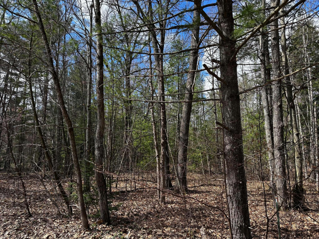 CLUBHOUSE TRAIL LOT 24, GAYLORD, MI 49735, photo 1 of 7