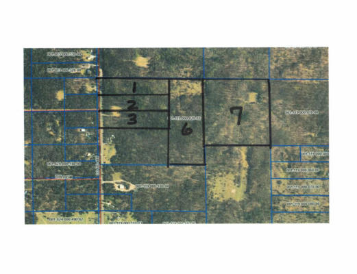 LOT 7 CO RD 489 # 40 ACRES, LEWISTON, MI 49756 - Image 1