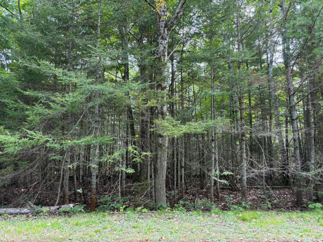 LOT 21 E RENWICK CIRCLE, PRESQUE ISLE, MI 49777, photo 1 of 13