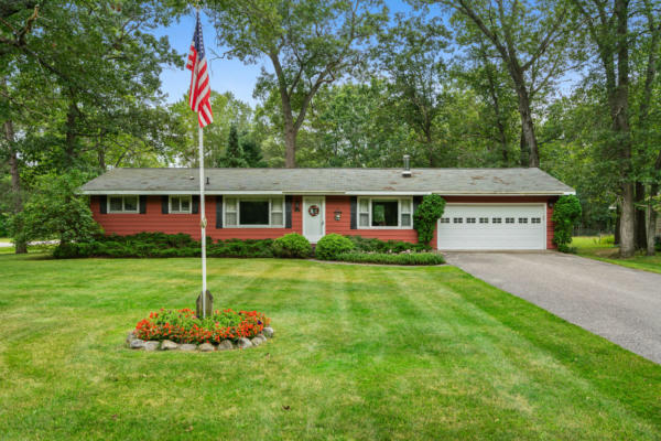 6767 LOUISE DR, INDIAN RIVER, MI 49749 - Image 1