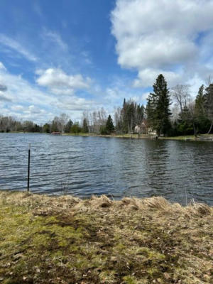 15488 LAKEVIEW DR LOT 214, WOLVERINE, MI 49799, photo 4 of 16