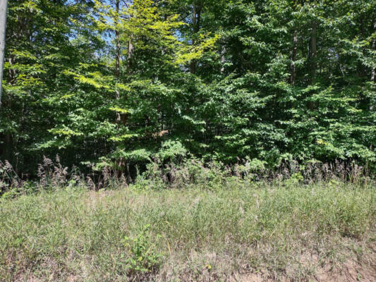 LOT #155 TWIN PEAKS ROAD, GRAYLING, MI 49738, photo 3 of 4