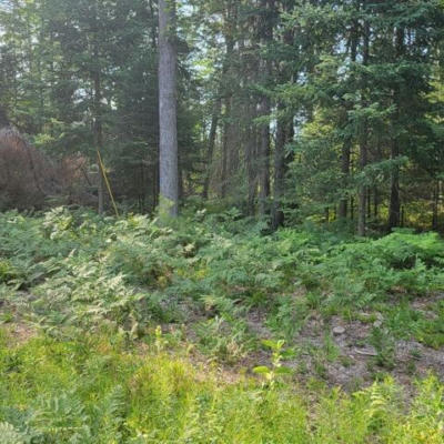 ROSEMARIE TRAIL PARCEL A, ROSCOMMON, MI 48653, photo 3 of 6