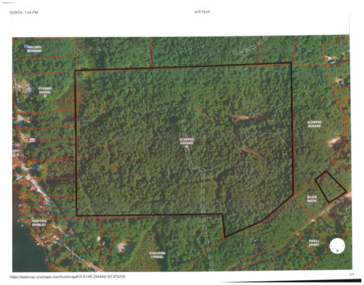 MCWILLIAMS LAKE ROAD 60 + ACRES, HAWKS, MI 49743 - Image 1