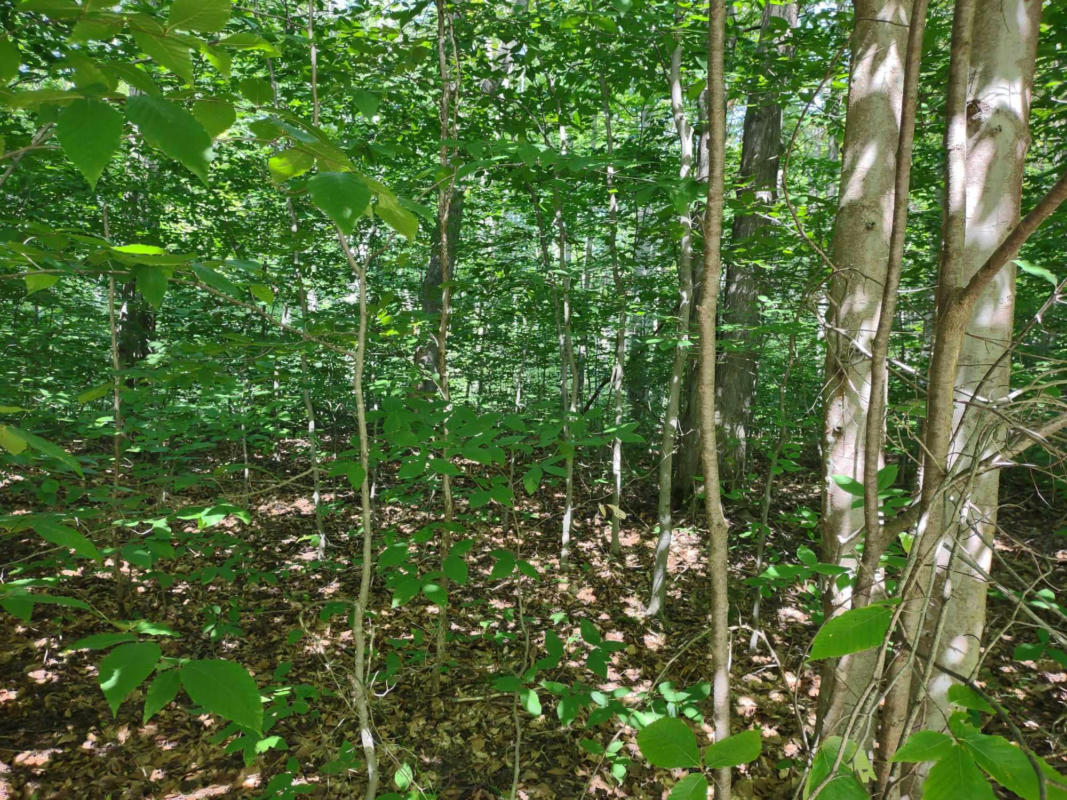 LOT #155 TWIN PEAKS ROAD, GRAYLING, MI 49738, photo 1 of 4