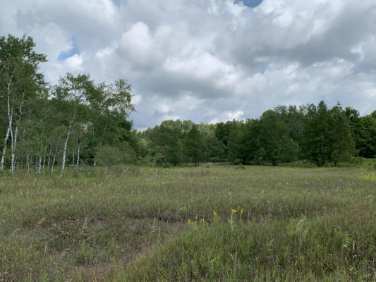 OLD MACKINAW TRAIL, BOYNE FALLS, MI 49713 - Image 1