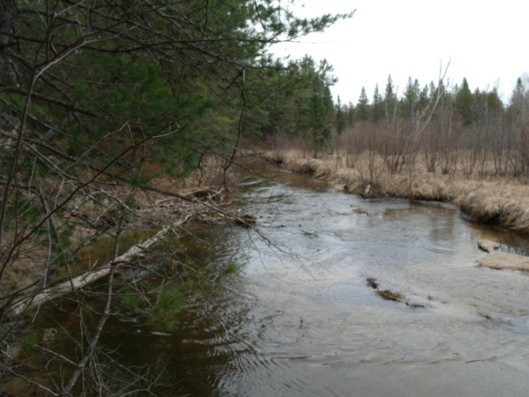 SPIKEHORN TRAIL PARCEL 17, INDIAN RIVER, MI 49749, photo 1 of 16